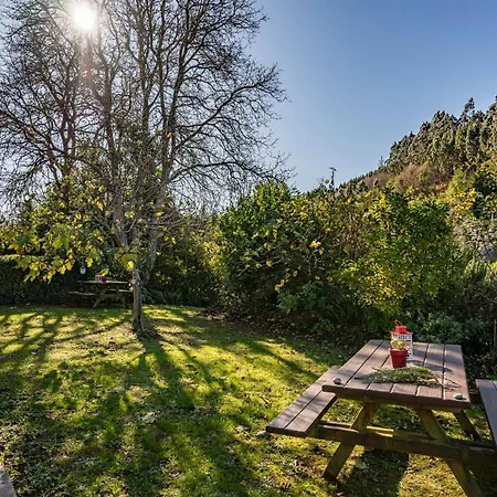 Nogueira Lantställe Vega de Logares