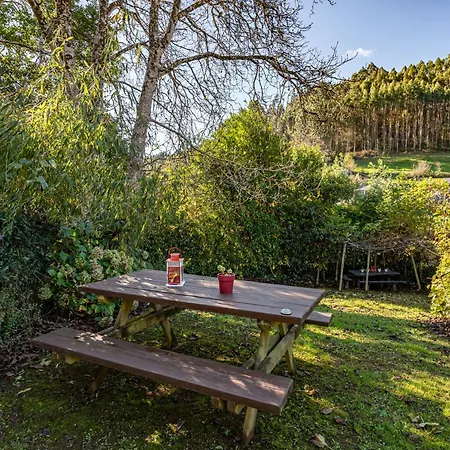 Nogueira Lantställe *