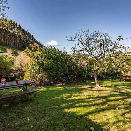 Nogueira * Vega de Logares