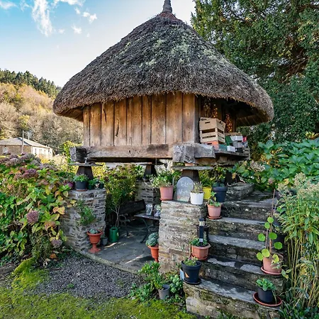 Nogueira Lantställe Vega de Logares