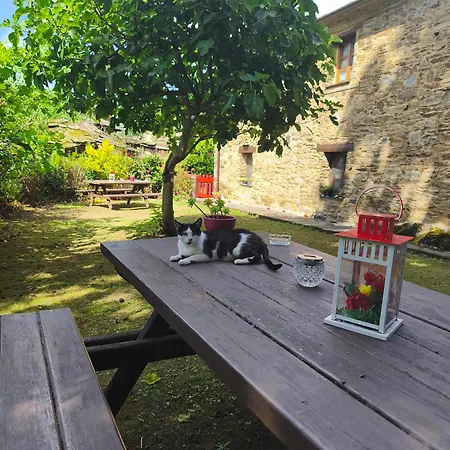 Nogueira Kır Evi