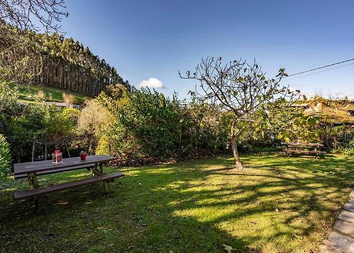 Nogueira * Vega de Logares